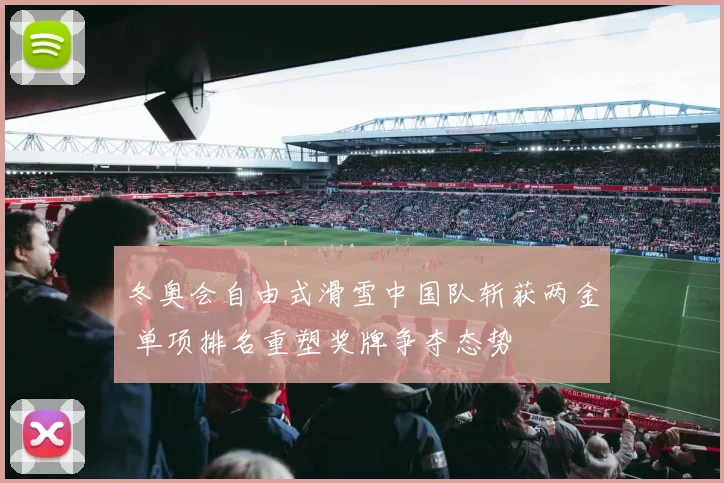 冬奥会自由式滑雪中国队斩获两金 单项排名重塑奖牌争夺态势