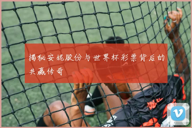 揭秘安妮股份与世界杯彩票背后的共赢传奇