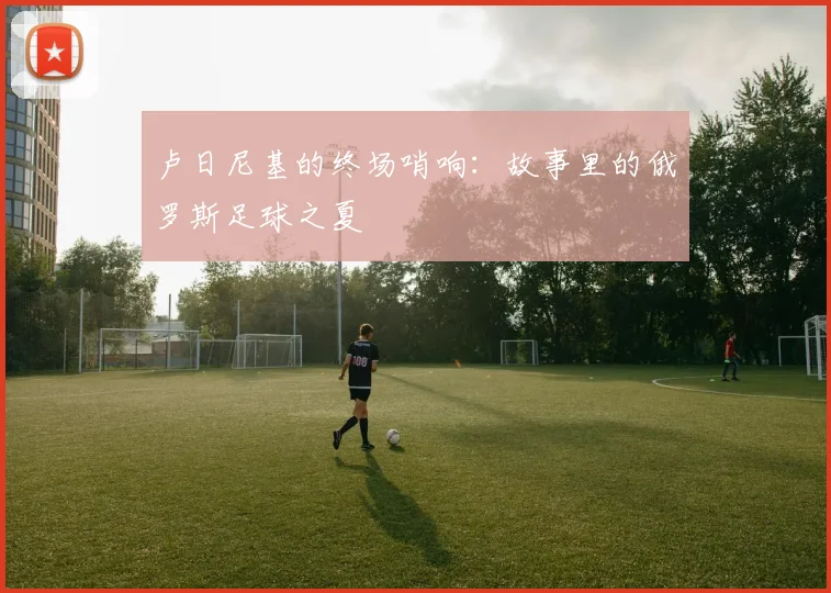 卢日尼基的终场哨响:故事里的俄罗斯足球之夏