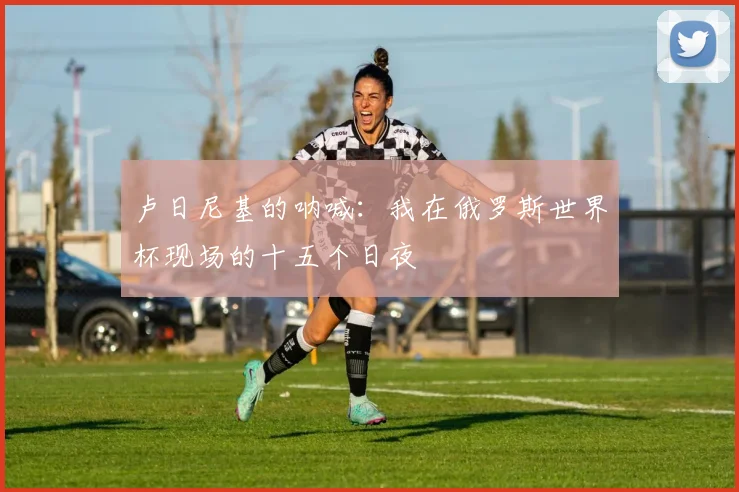 卢日尼基的呐喊：我在俄罗斯世界杯现场的十五个日夜