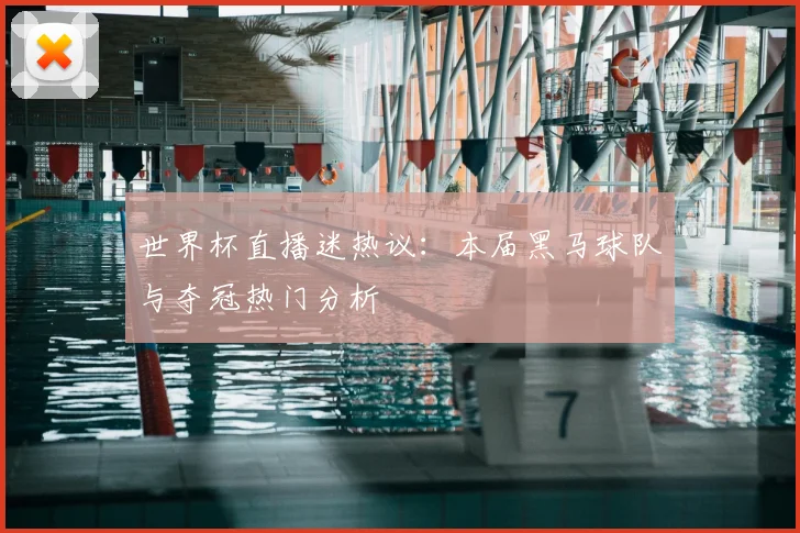 世界杯直播迷热议：本届黑马球队与夺冠热门分析