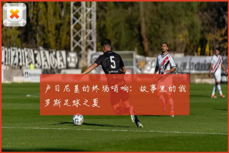 卢日尼基的终场哨响：故事里的俄罗斯足球之夏