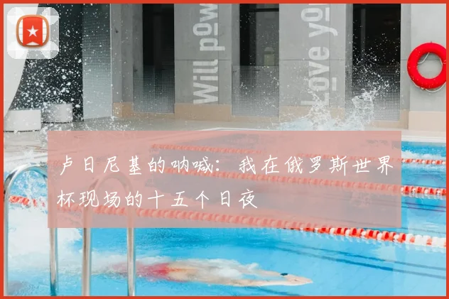 卢日尼基的呐喊：我在俄罗斯世界杯现场的十五个日夜