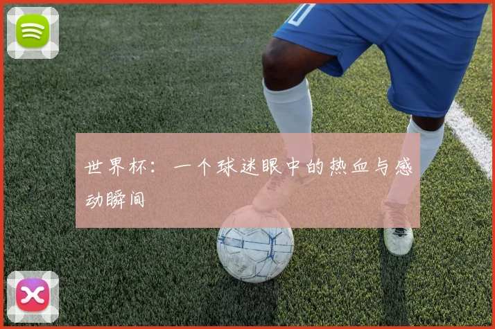 世界杯：一个球迷眼中的热血与感动瞬间