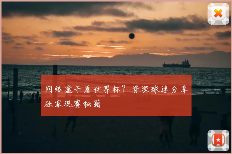 网络盒子看世界杯？资深球迷分享独家观赛秘籍