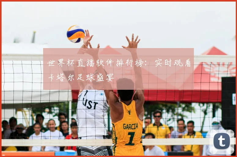 世界杯直播软件排行榜：实时观看卡塔尔足球盛宴