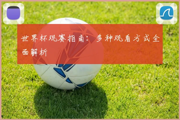 世界杯观赛指南：多种观看方式全面解析