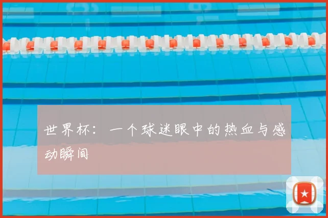 世界杯：一个球迷眼中的热血与感动瞬间